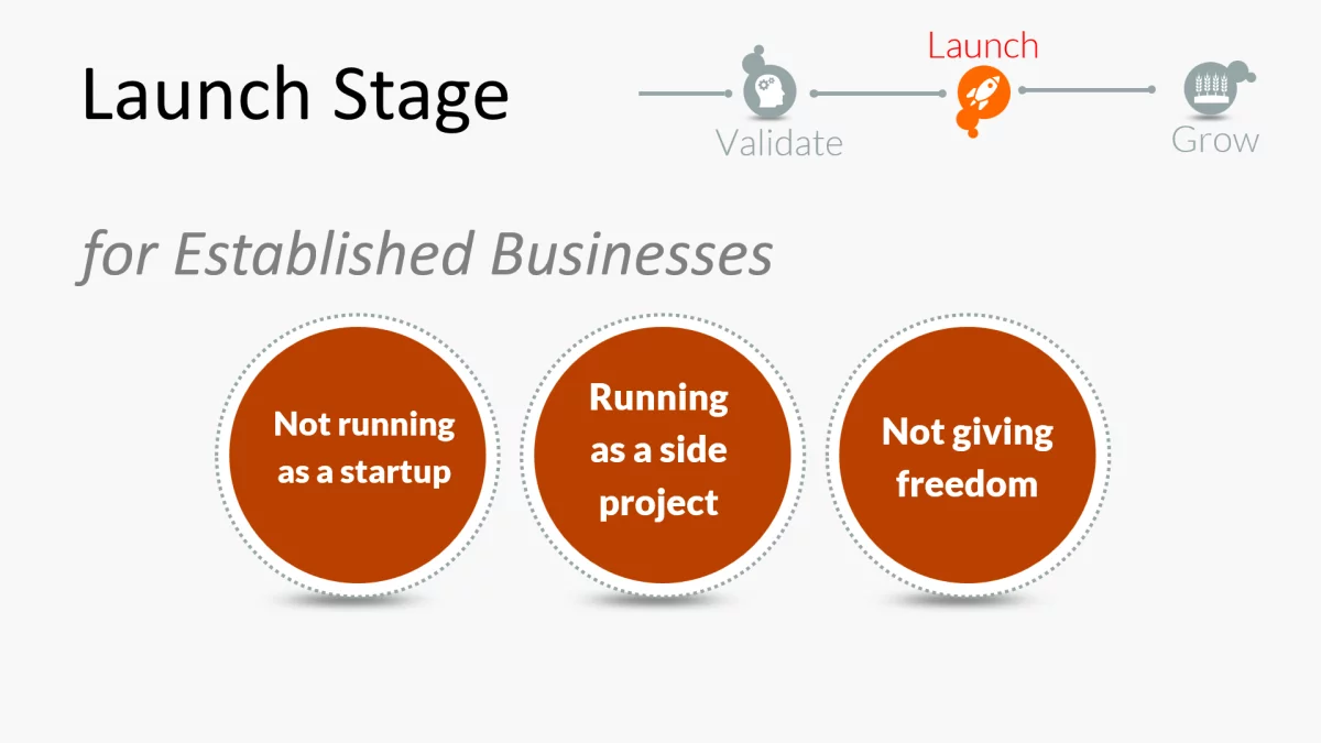 Mistakes in the Launch Stage for Established Businesses