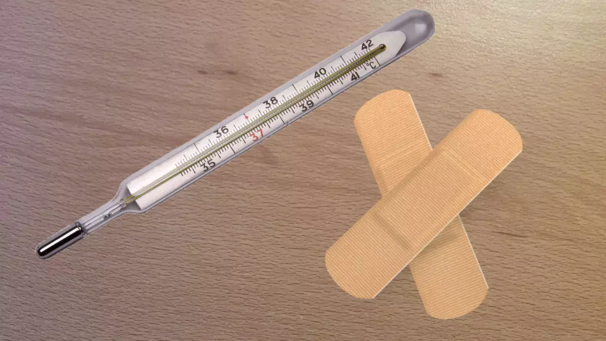 Experts vs Experiments